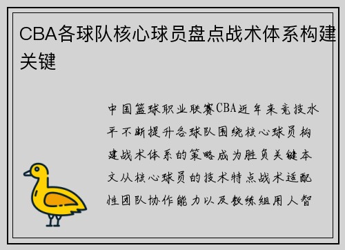 CBA各球队核心球员盘点战术体系构建关键